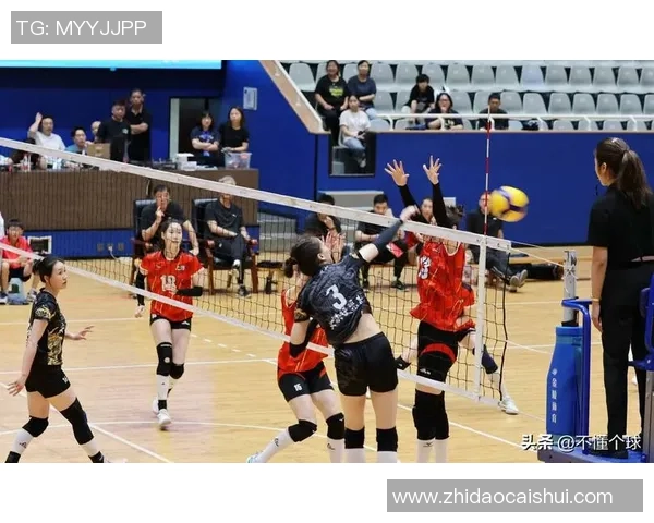 排球战术分析：上海排球队荣登全国第三名的背后故事