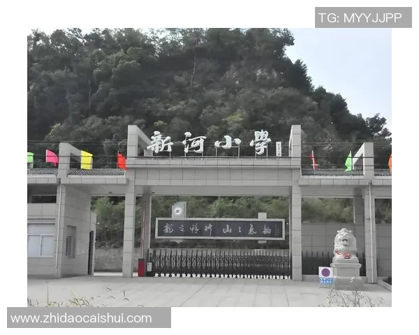 李芳专访：从青涩小将到乒乓球传奇的成长之路回顾