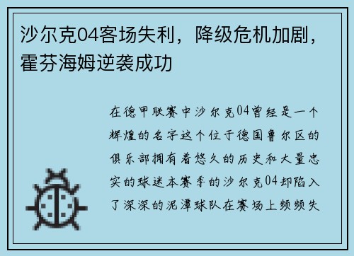 沙尔克04客场失利，降级危机加剧，霍芬海姆逆袭成功