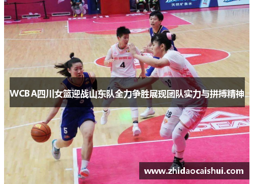 WCBA四川女篮迎战山东队全力争胜展现团队实力与拼搏精神